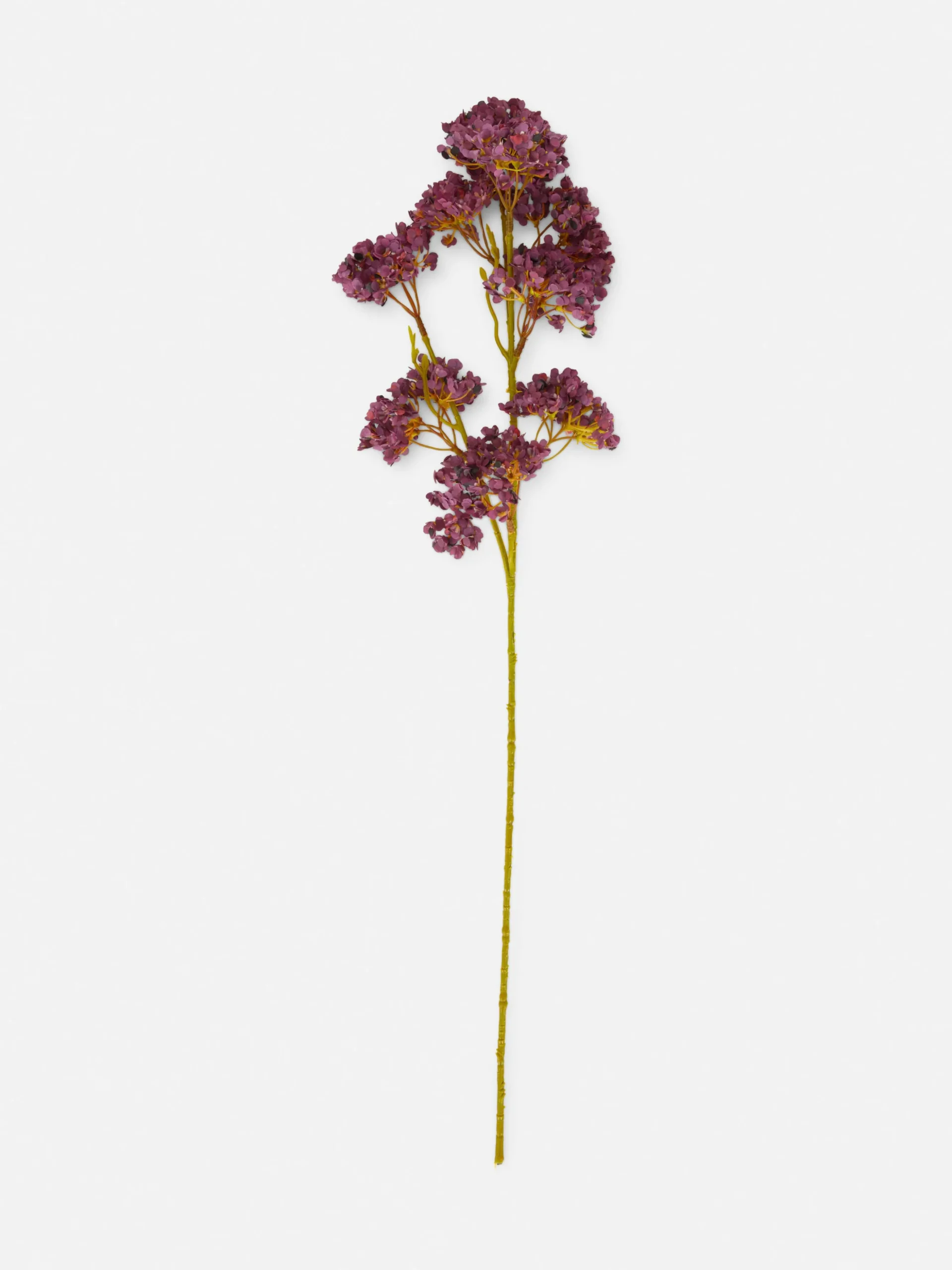 Asclepias Tuberosa Artificial De Un Solo Tallo