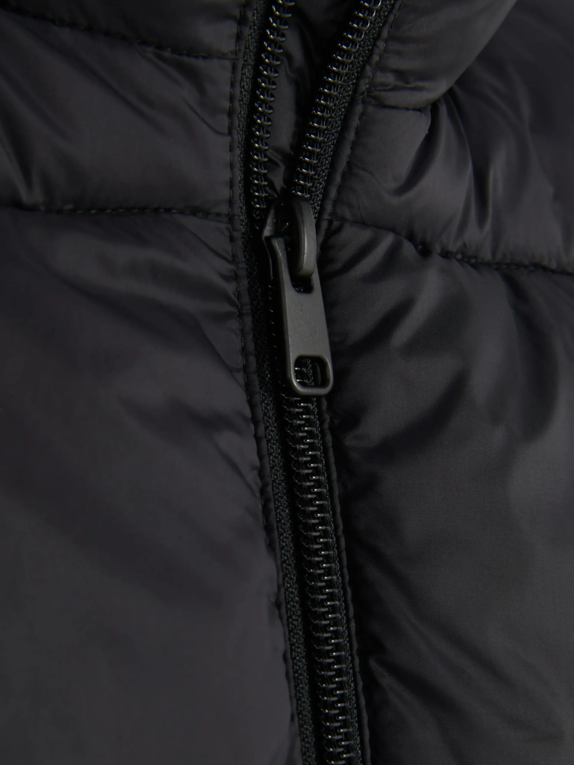 Chaqueta Acolchada De Cuello Alto