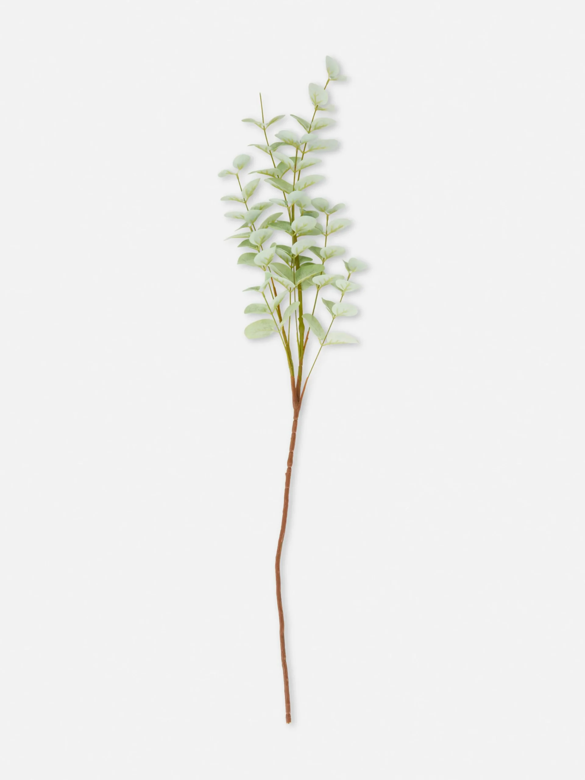 Tallo De Eucalipto Individual Artificial